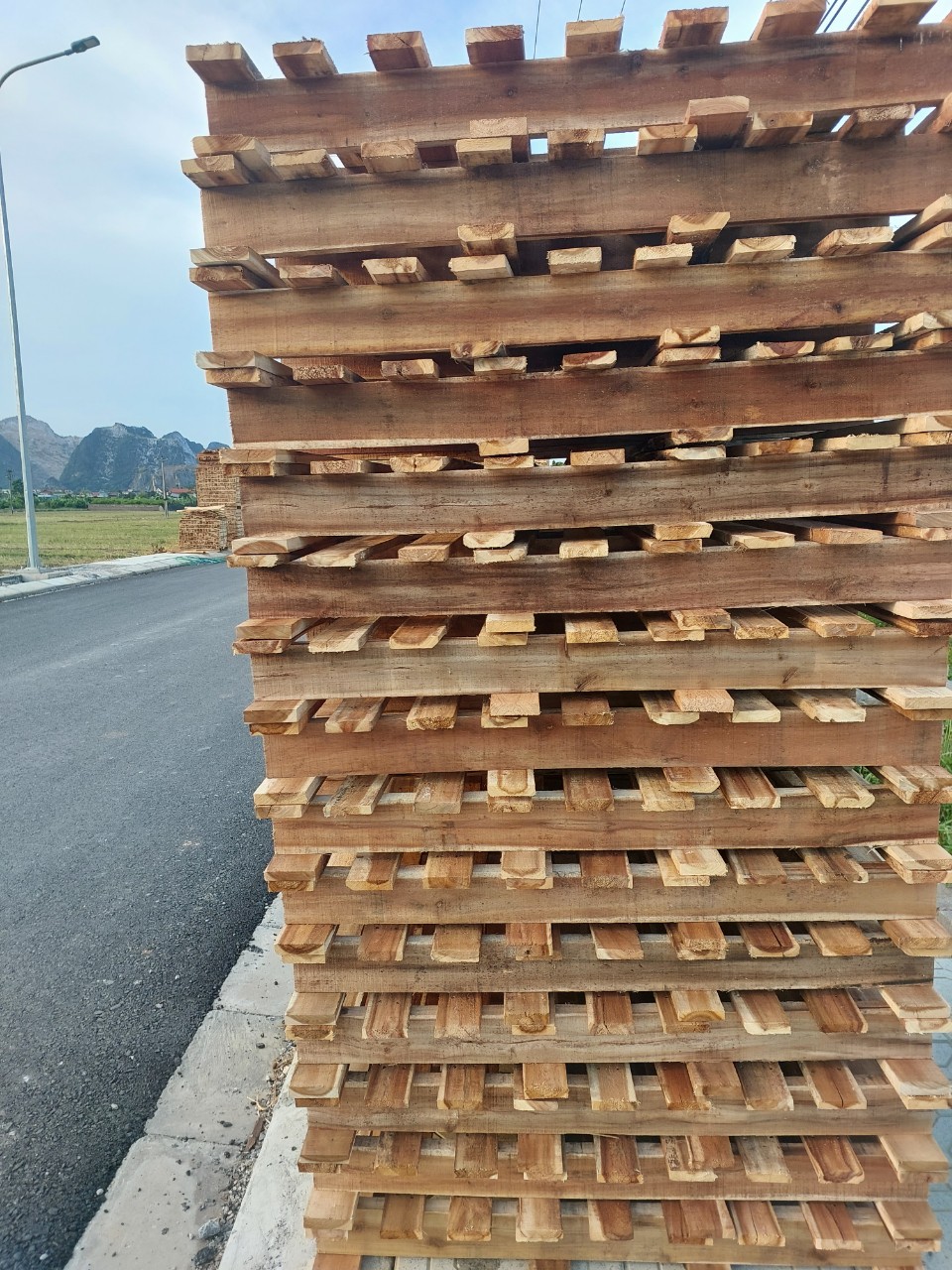 Pallet gỗ các loại